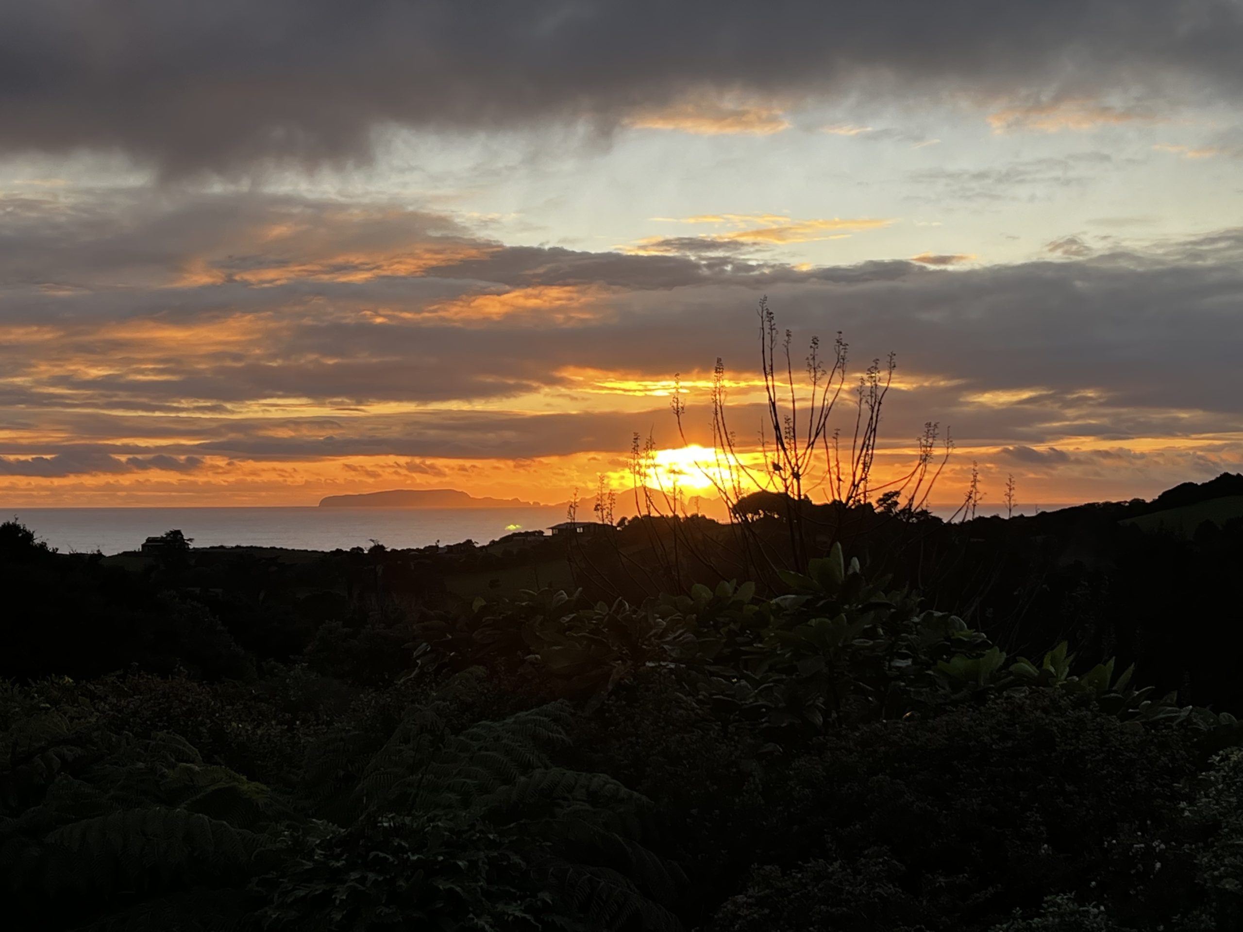 sunrise, Tūtūkāka